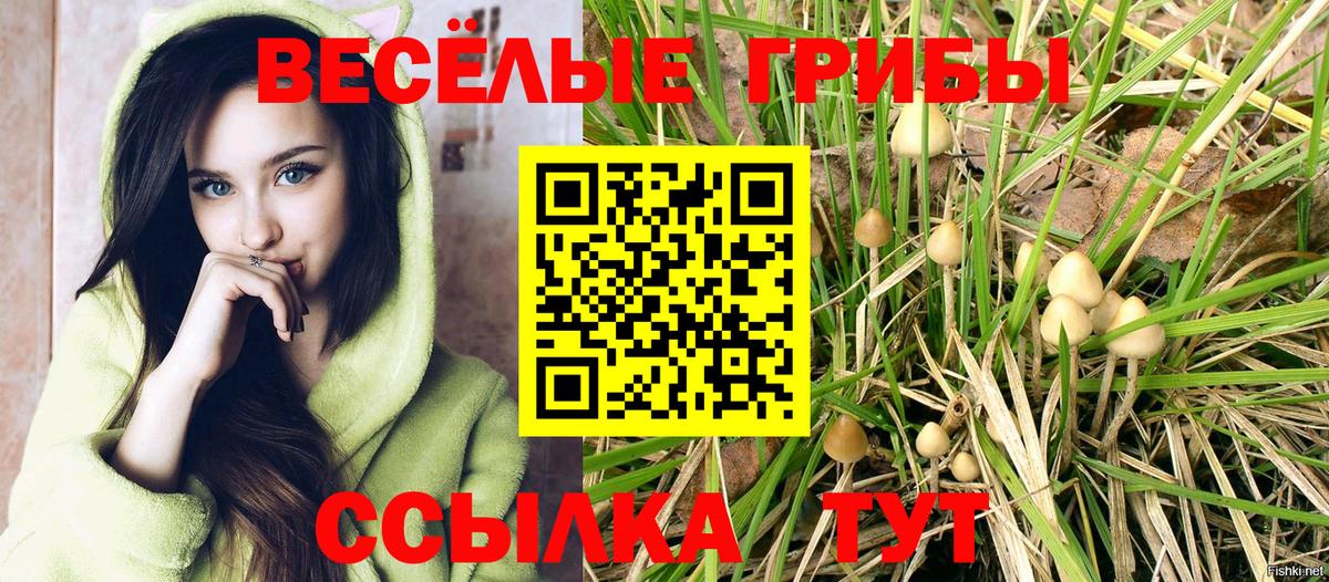 Псилоцибиновые грибы прущие грибы Медногорск
